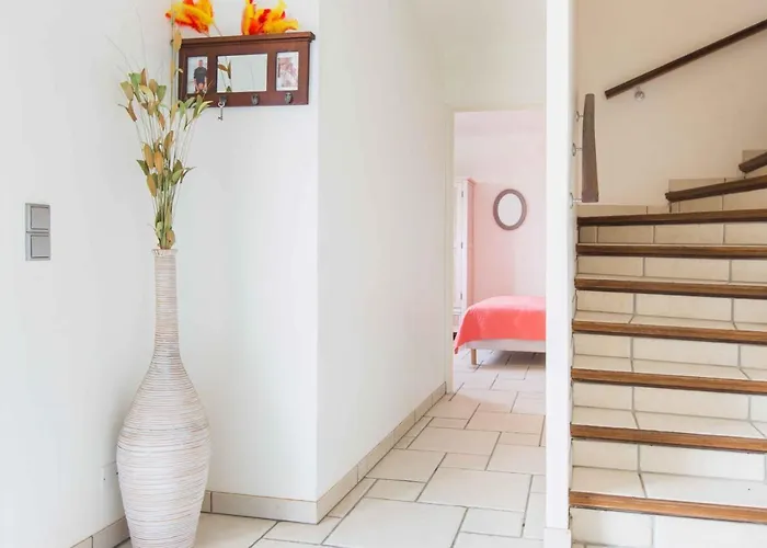 Regina's - Les Hibiscus Banyuls-sur-Mer